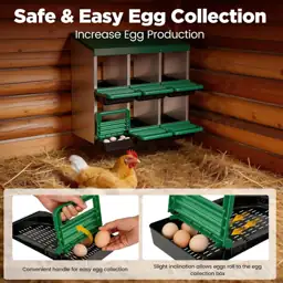 Eggluuz Chicken Nesting Box, 6… — Photo 2