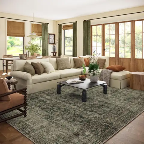 Washable Living Room Area Rug:… — Photo 1