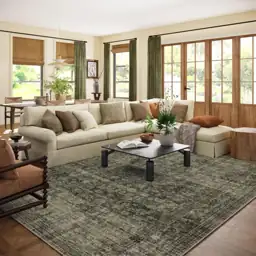 Washable Living Room Area Rug:… — Photo 1