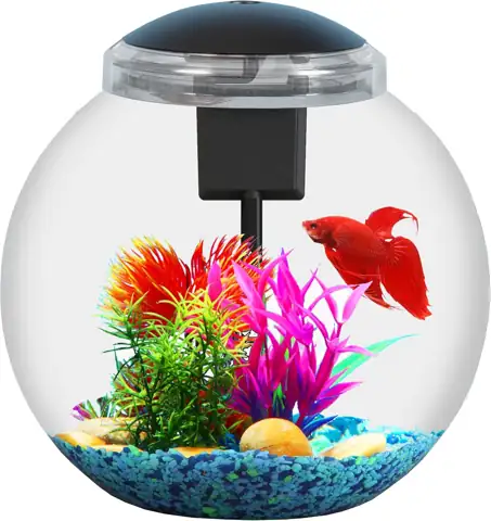 3-Gallon Betta/Tropical Aquarium Starter Kit… — Photo 1