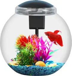 3-Gallon Betta/Tropical Aquarium Starter Kit… — Photo 1