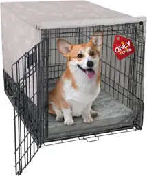 Explore Land Breathable Dog Crate… — Photo 1