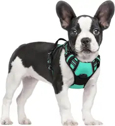 rabbitgoo Dog Harness, No Pull… — Photo 1