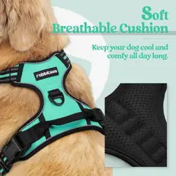 rabbitgoo Dog Harness, No Pull… — Photo 2