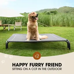 Czpalo Outdoor Elevated Dog Bed… — Photo 2