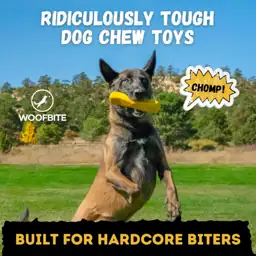 Power Stick - for Toughest… — Photo 2