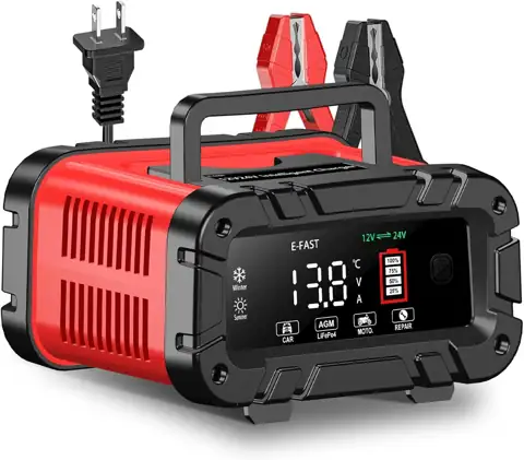E-FAST Battery Charger 0-20A 12/24V… — Photo 1