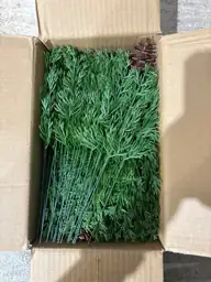 Grunyia 68 Pcs Christmas Pine… — Photo 3