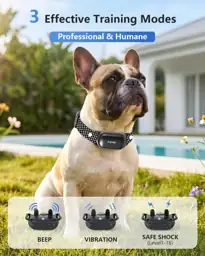 PATPET Dog Shock Collar -… — Photo 2