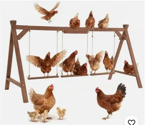 Chicken Roosting Bar — Photo 1