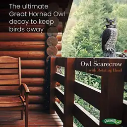 Rotating Head Owl Decoy -… — Photo 2
