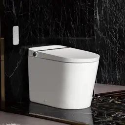 WOODBRIDGE Bidet Smart Toilet with… — Photo 1
