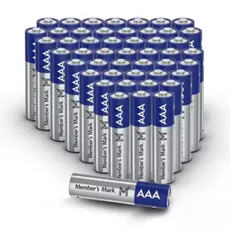 Member's Mark AAA Alkaline Batteries,… — Photo 2