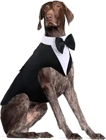 Dog Tuxedo for Large Dogs,… — Photo 1