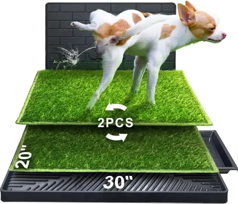 Hompet Dog Potty for Porch,… — Photo 1