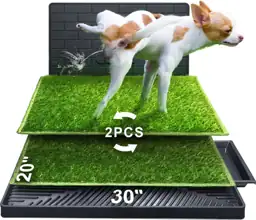 Hompet Dog Potty for Porch,… — Photo 1
