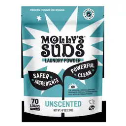 47 oz Unscented Powder Laundry… — Photo 1