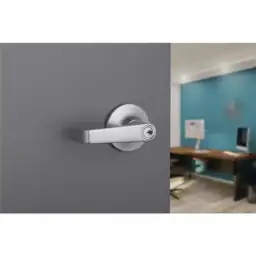 Universal Hardware Entry Lever, ADA,… — Photo 2