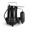 EVERBILT 1/3 HP Cast Iron… — Photo 2