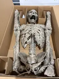 5 FT Ultra Posable Rotting… — Photo 3