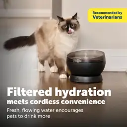 PetSafe HydroSphere 60 oz Cordless… — Photo 2