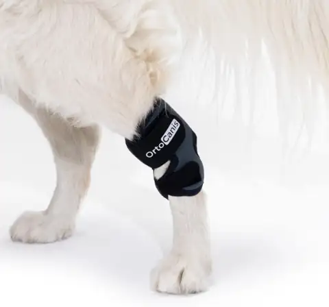Ortocanis Tarsal Support Ankle Brace… — Photo 1