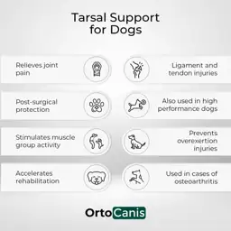 Ortocanis Tarsal Support Ankle Brace… — Photo 2