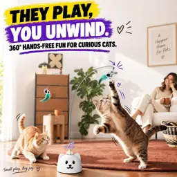 Interactive Cat Toys for Indoor… — Photo 2