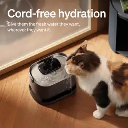 PETLIBRO Cat Water Fountain, Cordless… — Photo 2