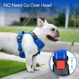 PoyPet No Pull Dog Harness,… — Photo 2