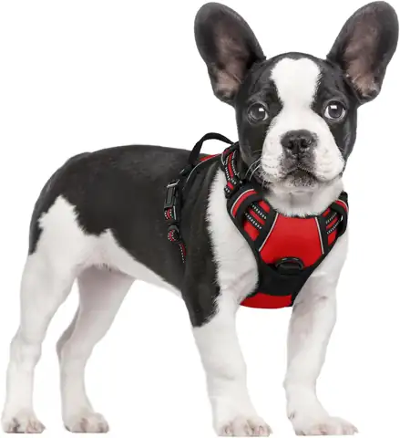rabbitgoo Dog Harness, No Pull… — Photo 1