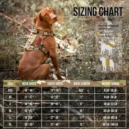 OneTigris Tactical Dog Harness with… — Photo 2