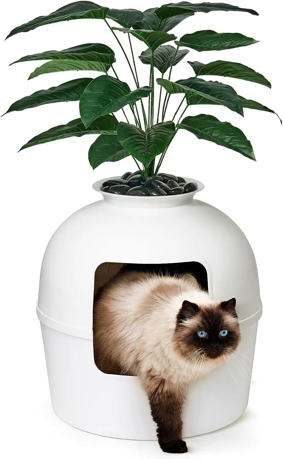 Secret Litter Box by Bundle… — Photo 1