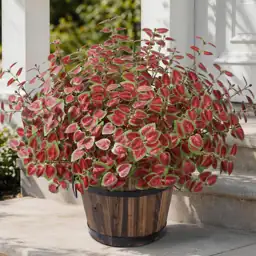 Artificial Plants Outdoor UV Resistant… — Photo 1