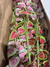 Artificial Plants Outdoor UV Resistant… — Photo 5
