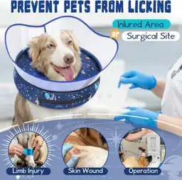 Elevated Inflatable Dog Cone Collar… — Photo 2