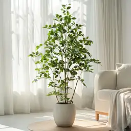 Artificial Ficus Tree Indoor 5ft,… — Photo 1