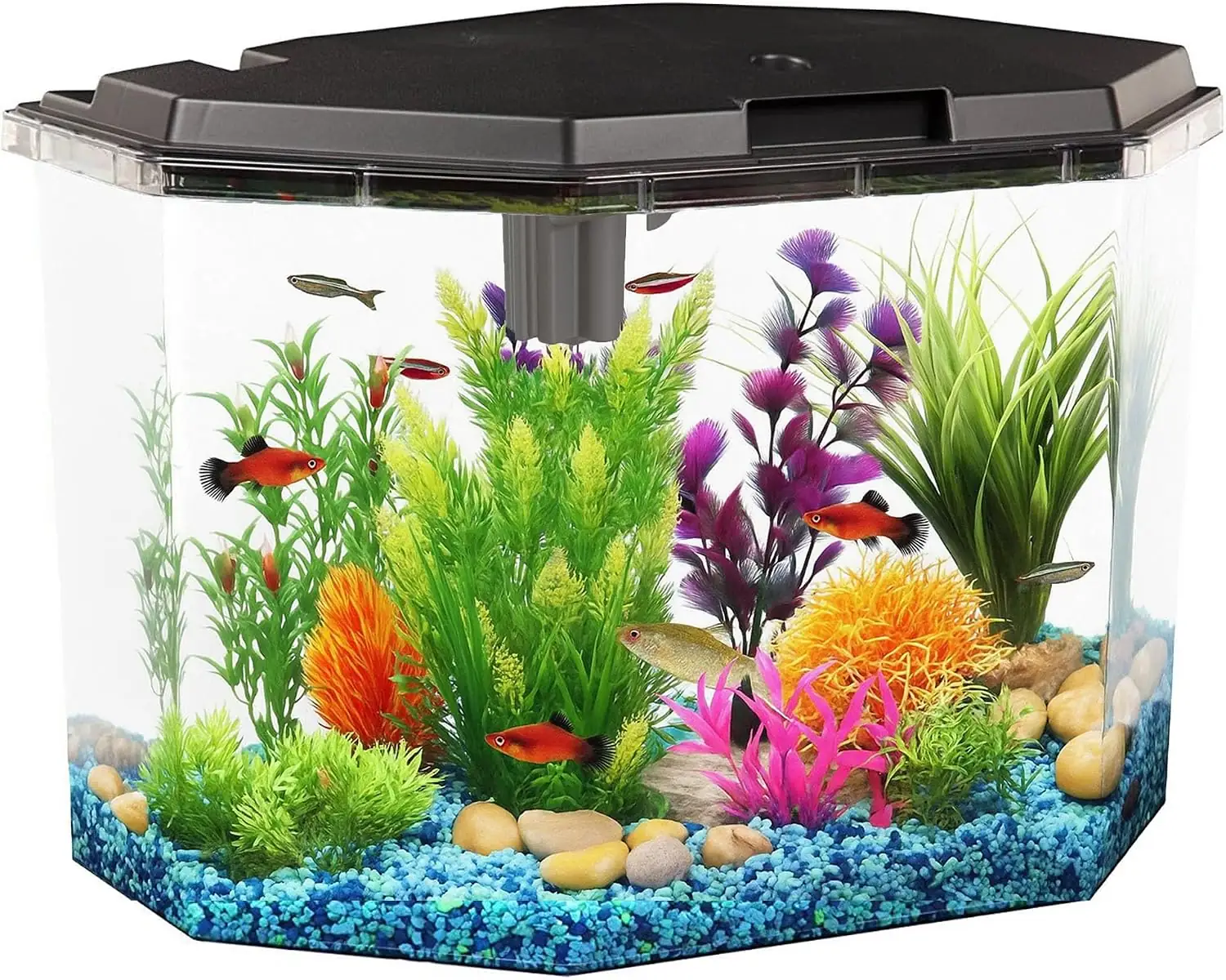 Koller Products 6.5-Gallon Aquarium Kit… — Photo 1