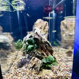 Aqua Natural Aquarium Substrate, Gold… — Photo 2
