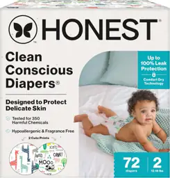 The Honest Company Daytime Diapers,… — Photo 1