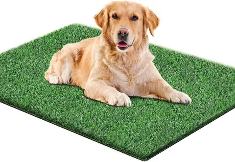 Artificial Grass for Dogs Pee… — Photo 1