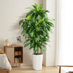 Artificial Dracaena Tree Indoor, 5FT… — Photo 1