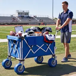 Large Wagon Carts with Big… — Photo 2