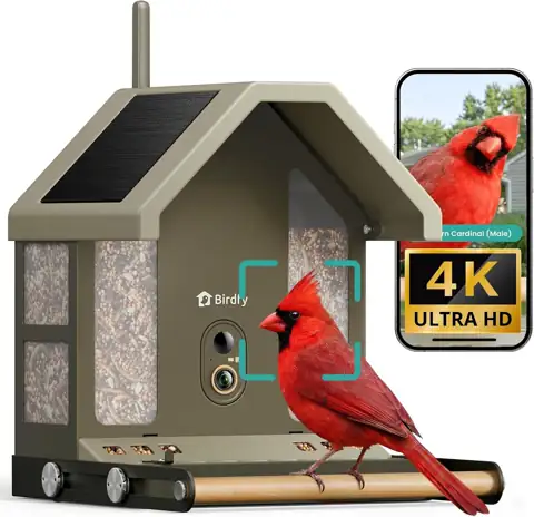 Smart Bird Feeder with Camera… — Photo 1