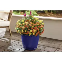 Delphine Blue Glazed Plastic Planter,… — Photo 2