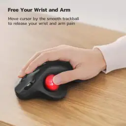 Nulea M501 Wireless Trackball Mouse… — Photo 2