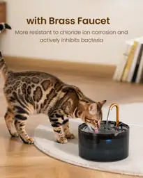 Cat Water Fountain with 6-Pack… — Photo 2