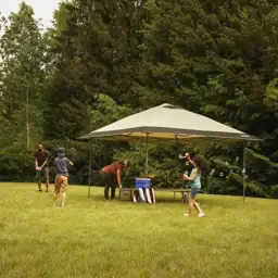 OASIS 13 x 13 Canopy… — Photo 2