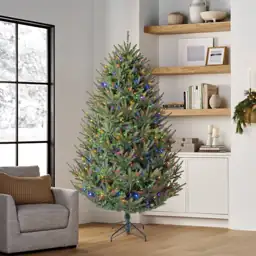 Member's Mark 7.5' Duchess Fir… — Photo 2