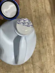 Pool Essentials Chlorinating Liquid for… — Photo 4